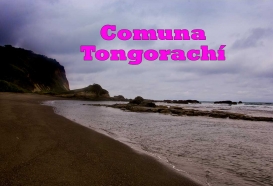 Comunidad Tongorachí